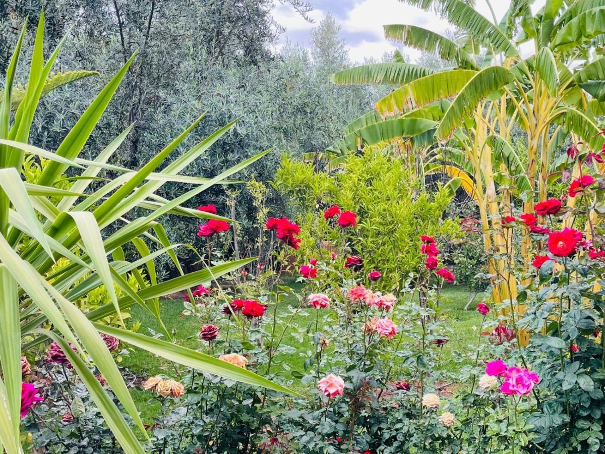 Ilafe Farmhouse, Villa Avec Piscine Chauffee Privee Et Jacuzzi Pour Familles Marrakesh Luaran gambar